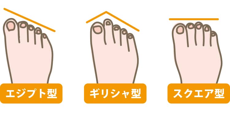 外反母趾に関係する足の指の形《エジプト型》《ギリシャ型》《スクエア型》